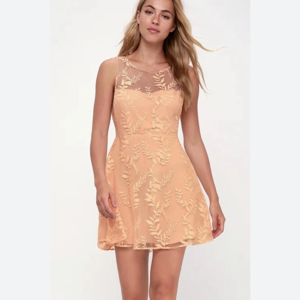 NWT Lulu's Beautiful Blossoms Peach Embroidered Skater Dress Size XL